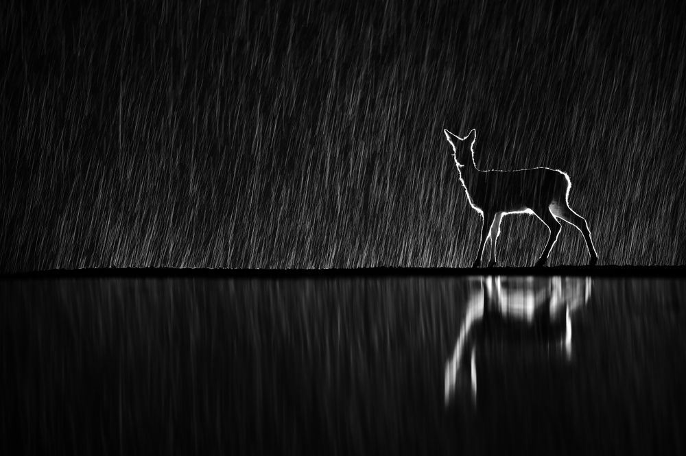 Hooray, it's snowing