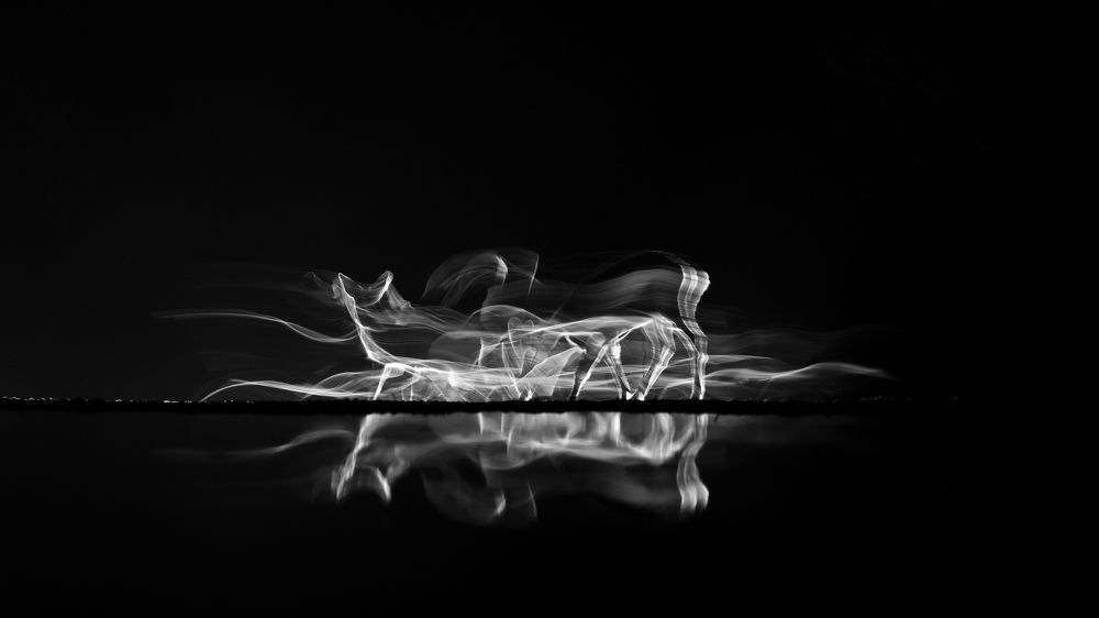 Time for feeding IV.