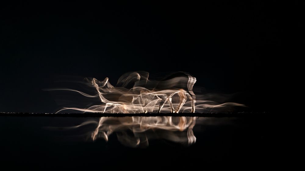 Time for feeding IV.