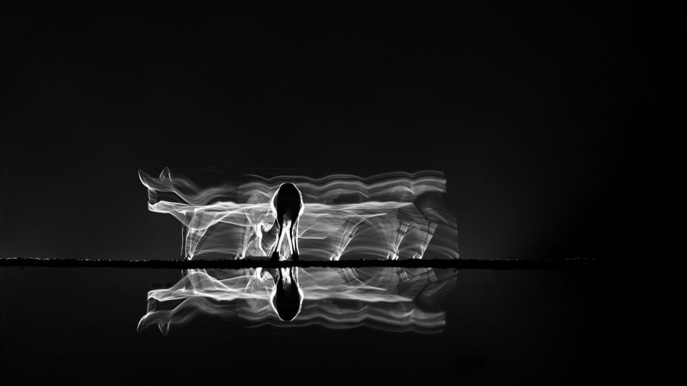 Photograph by Juraj Benčík