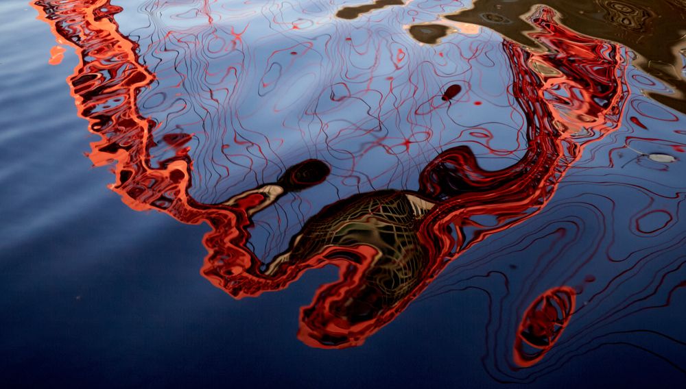 Магнитные поля