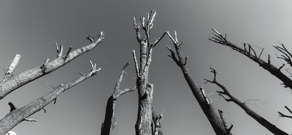 Фотография автора Марина Спильнык