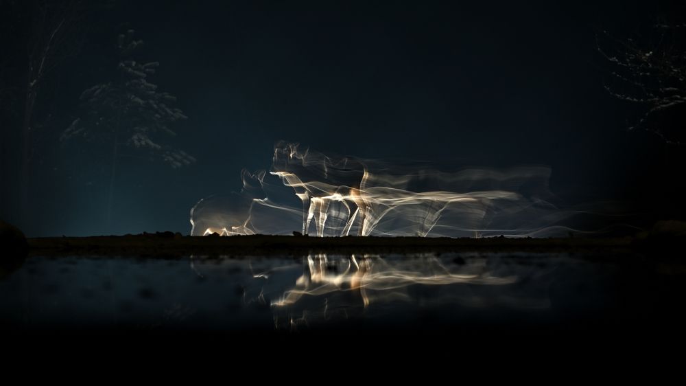 Photograph by Juraj Benčík