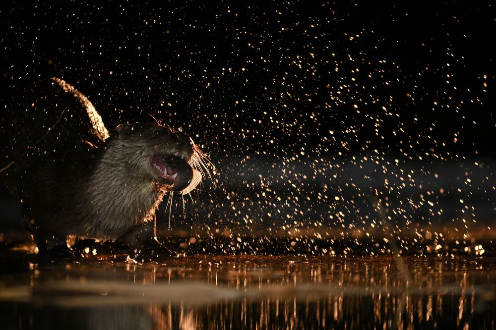 Photograph by Juraj Benčík