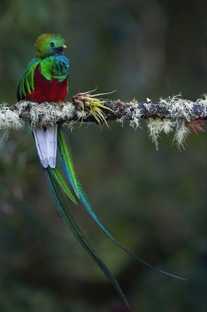 Photograph by Juraj Benčík