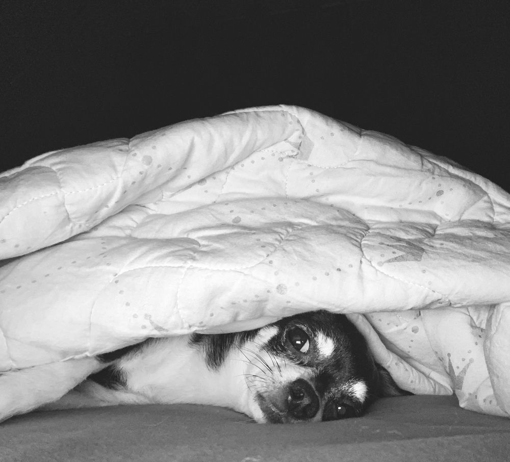 Photograph by Олеся Асеева