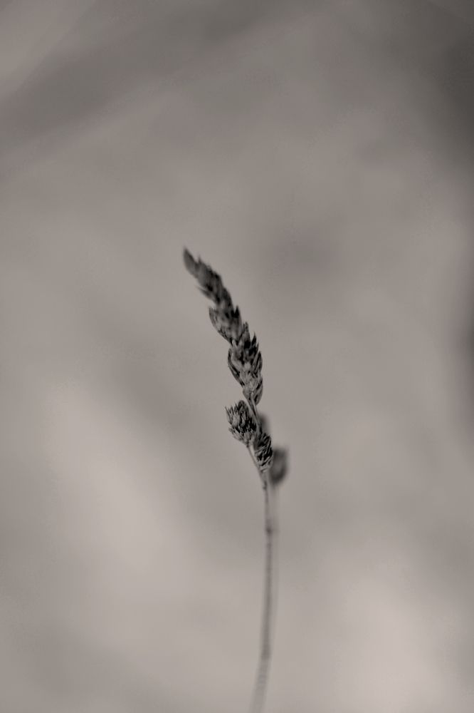 Photograph by Алеся