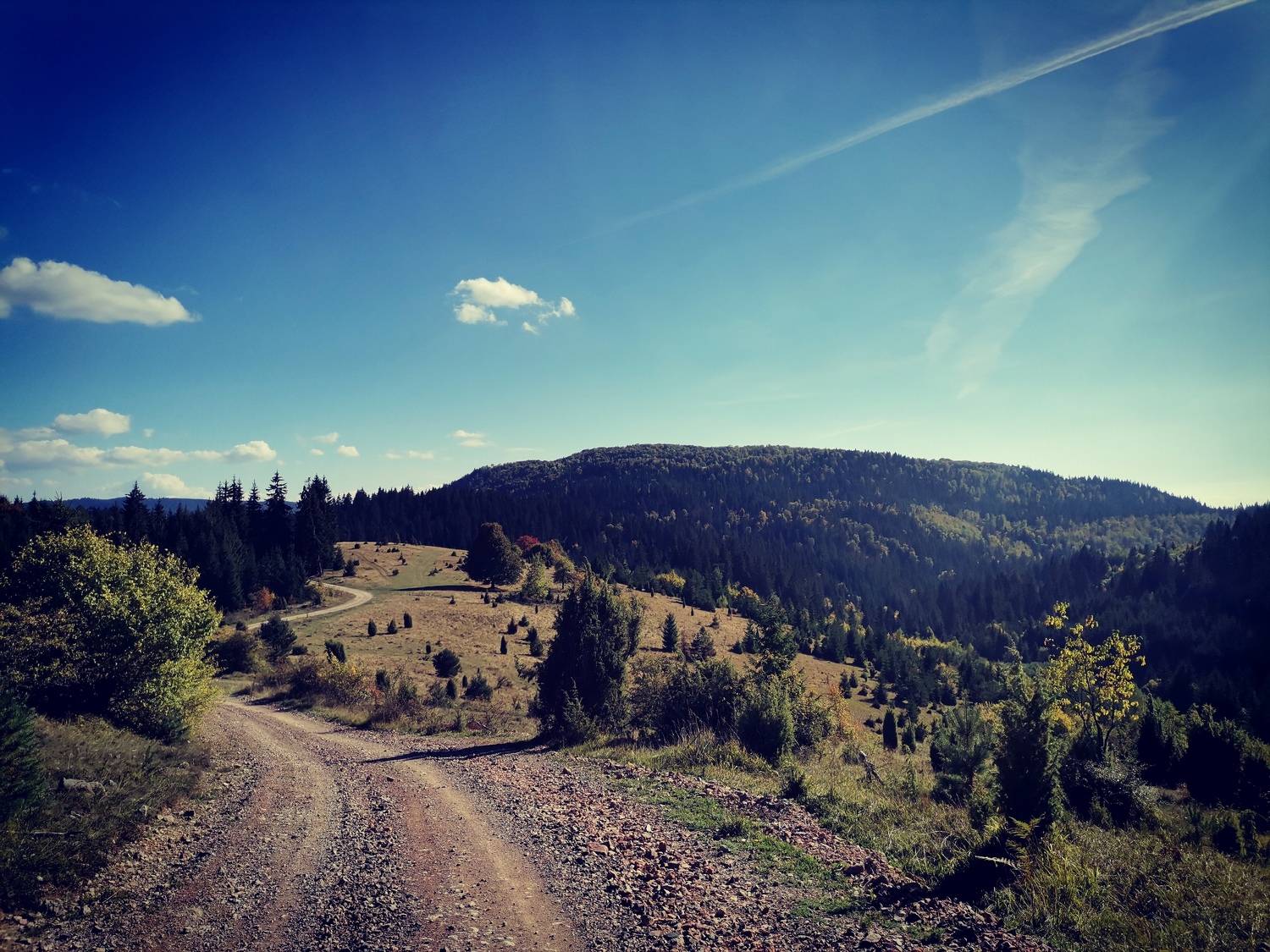 Photo #7251384