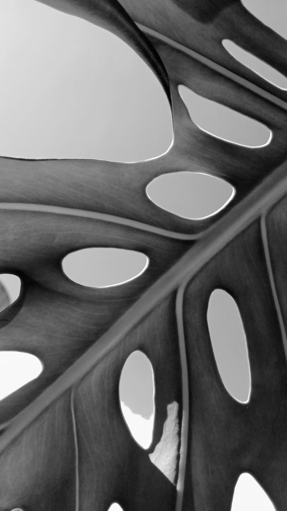 Photograph by Maria de los Angeles Osorio