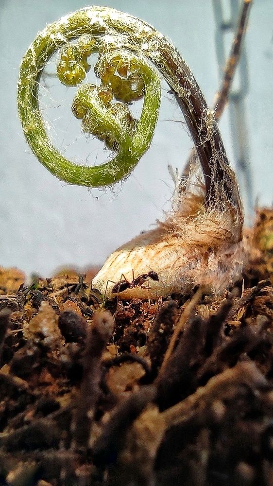 Photograph by Rogério Espost Pacheco