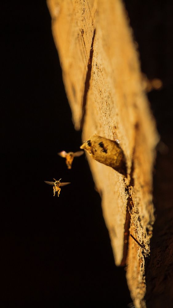 Photograph by Felipe Augusto