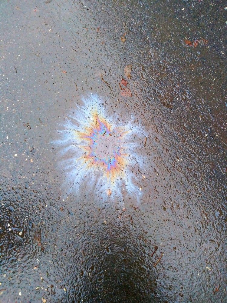 Photograph by Юлия Жулидова