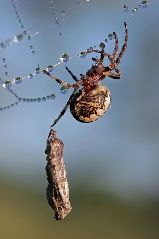 Фотография автора Dmitry Finkel