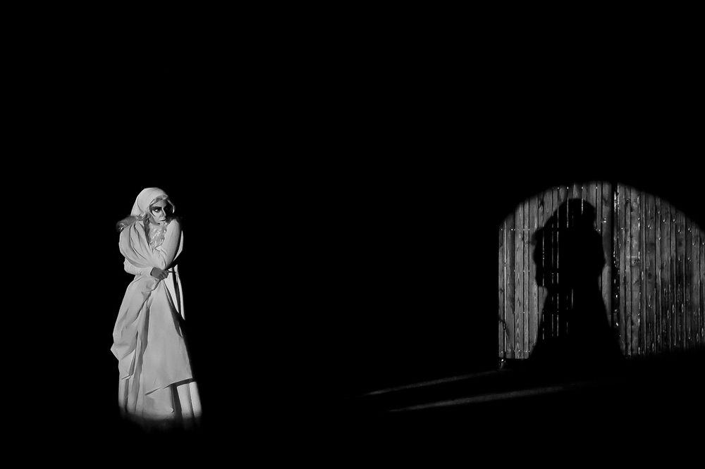 Фотография автора Seyede Elahe GHasemi