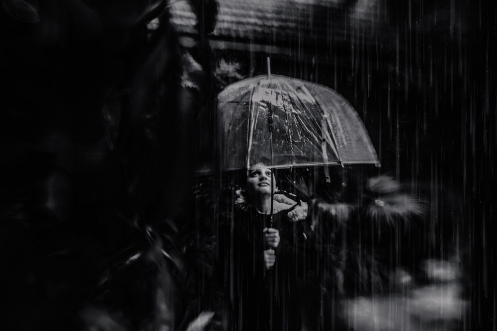 Photograph by Katherine Strauss