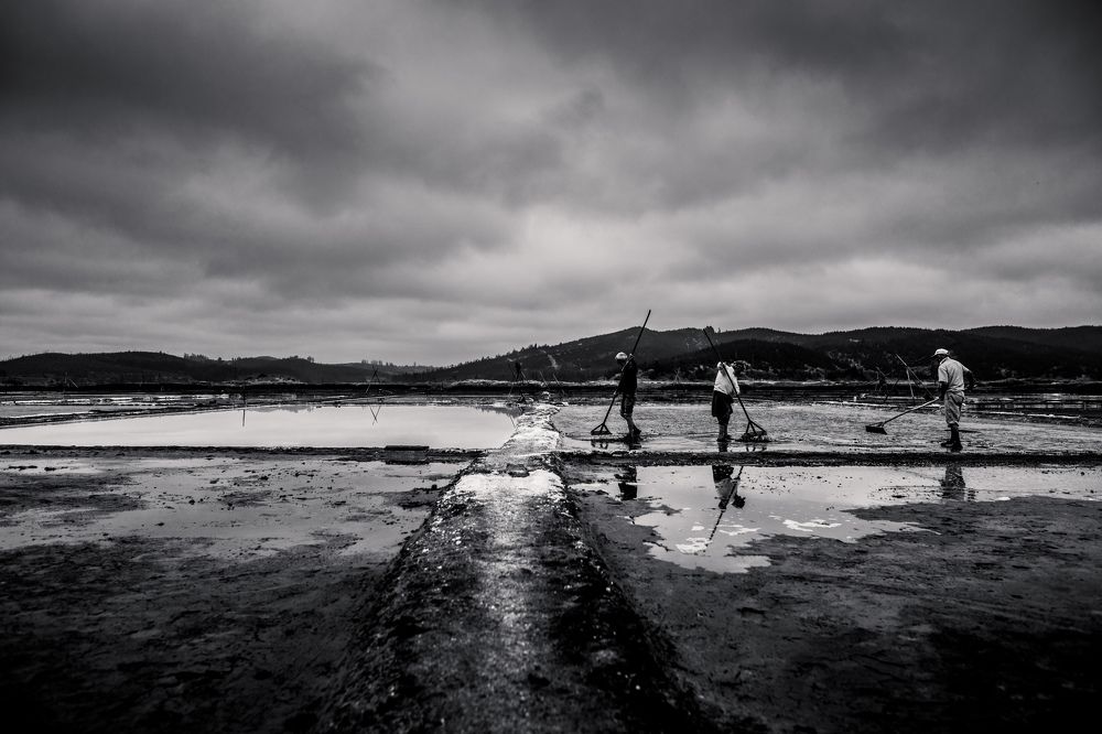 Photograph by Katherine Strauss