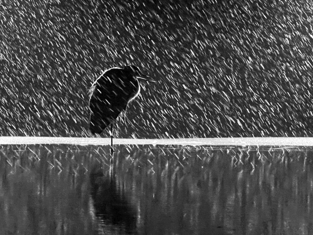 Photograph by Juraj Benčík