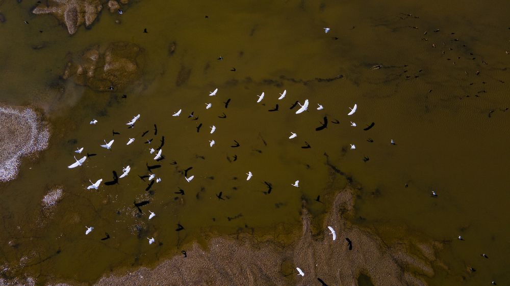 Photograph by Ariel Kergall