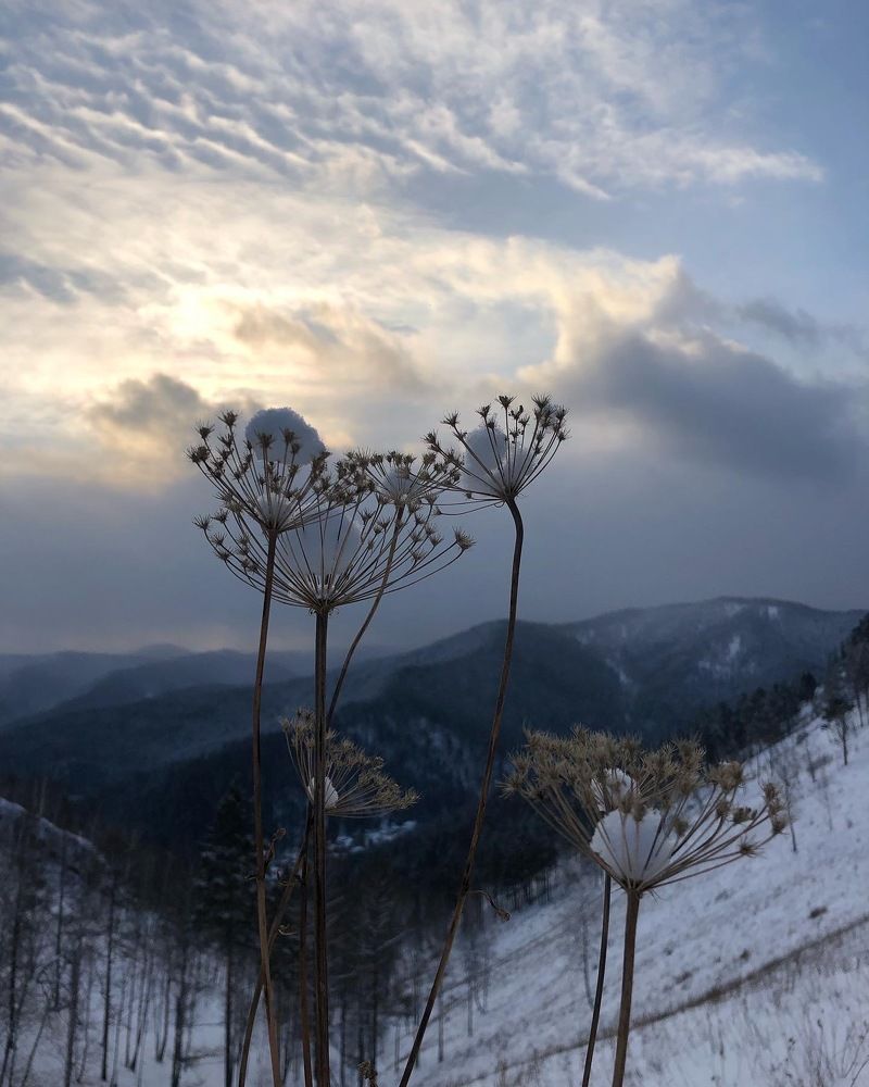 Photograph by Светлана Дмитриева