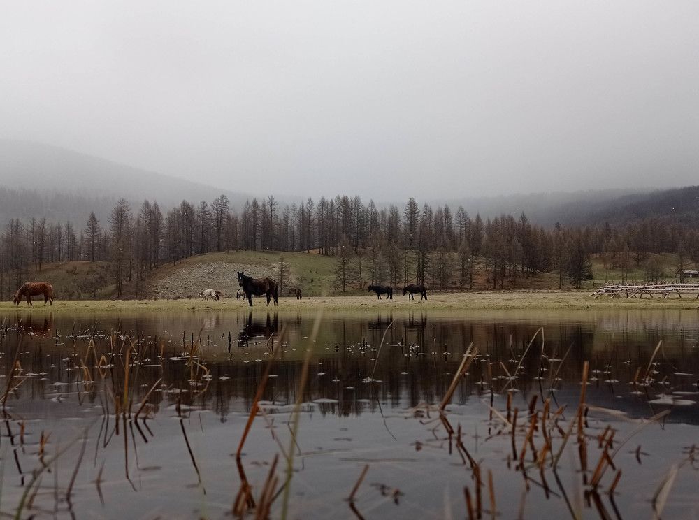 Photograph by Виталий Матвеев