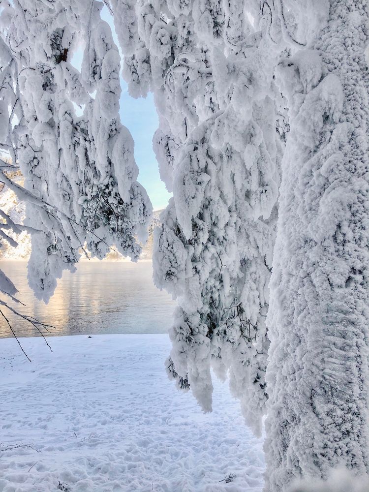 В снежном царстве