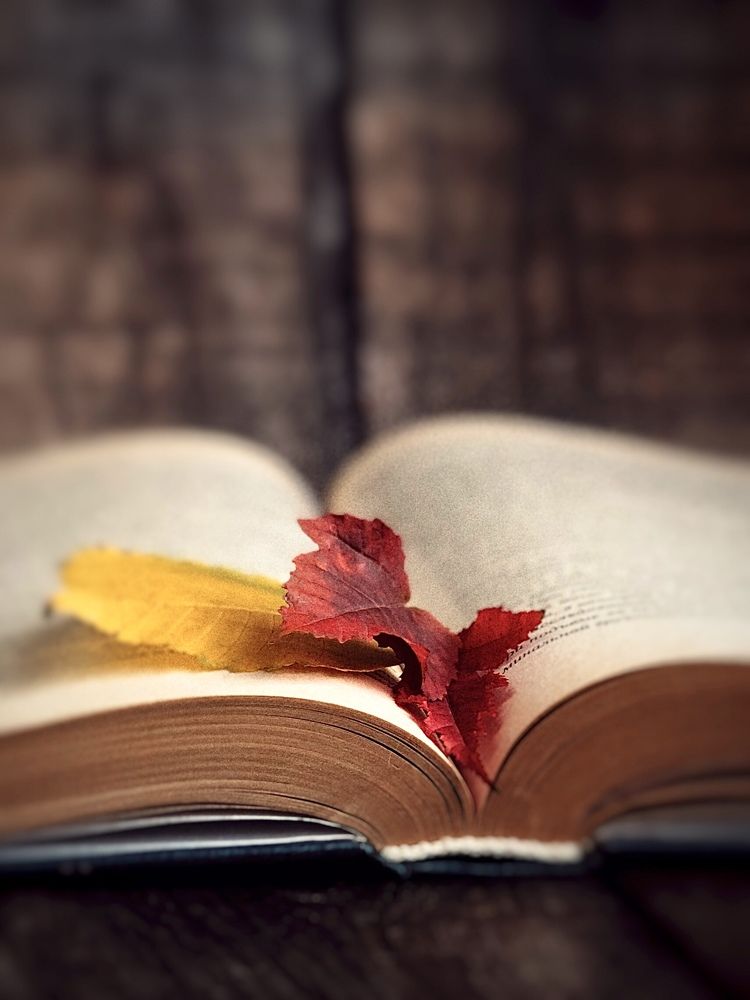 Photograph by Светлана Дмитриева