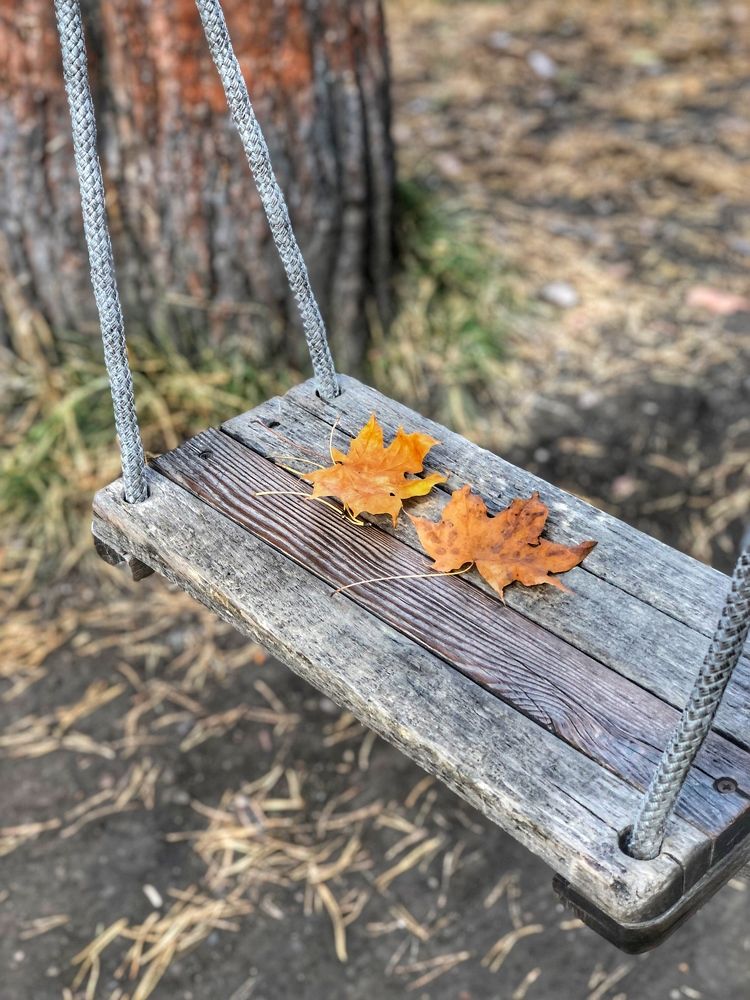 Photograph by Светлана Дмитриева