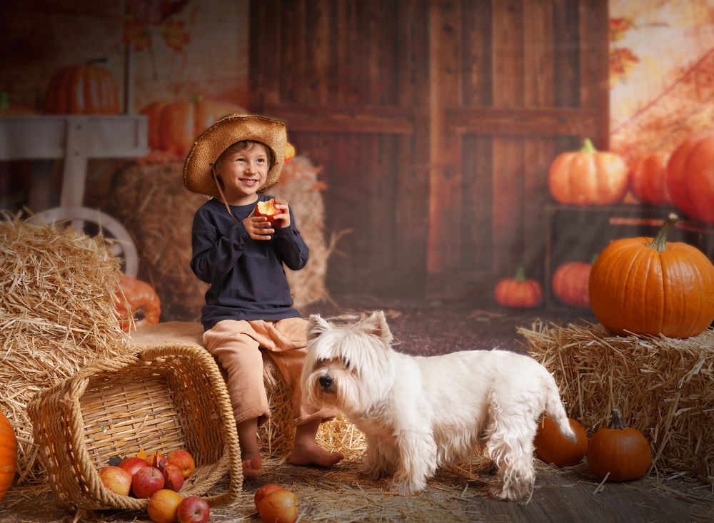 Фотография автора Irina Kozhemyakina