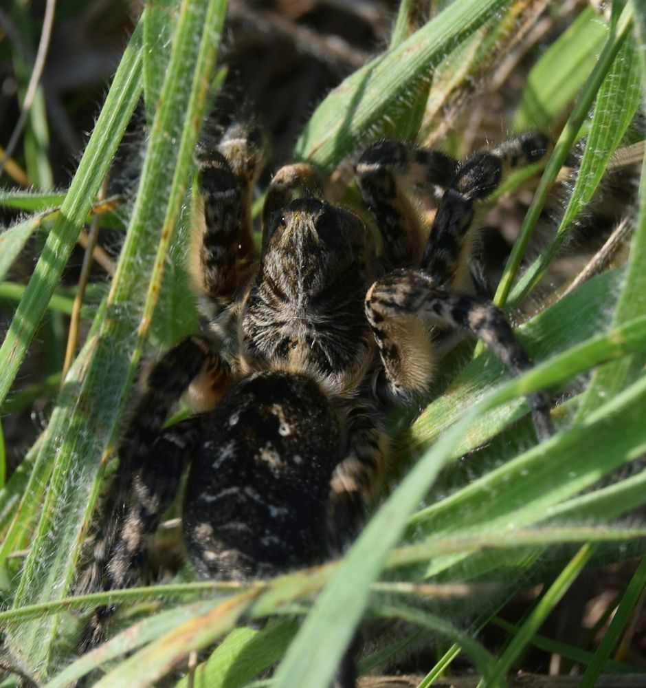 Photograph by Maiya Bulatova