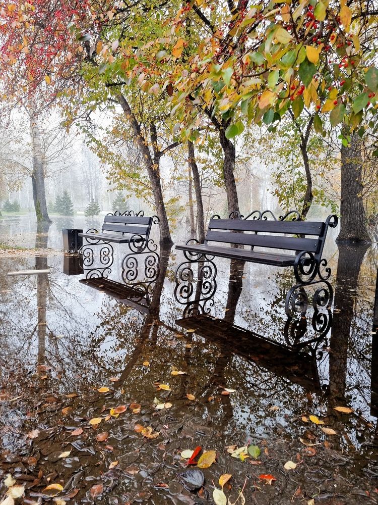 Photograph by Камиль