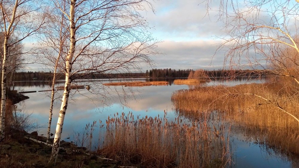 Nature around Kaskinen Island in autumn, Western Finland