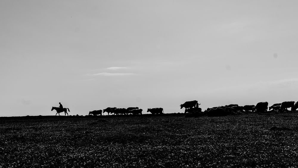 Photograph by Rahman Mojarrad