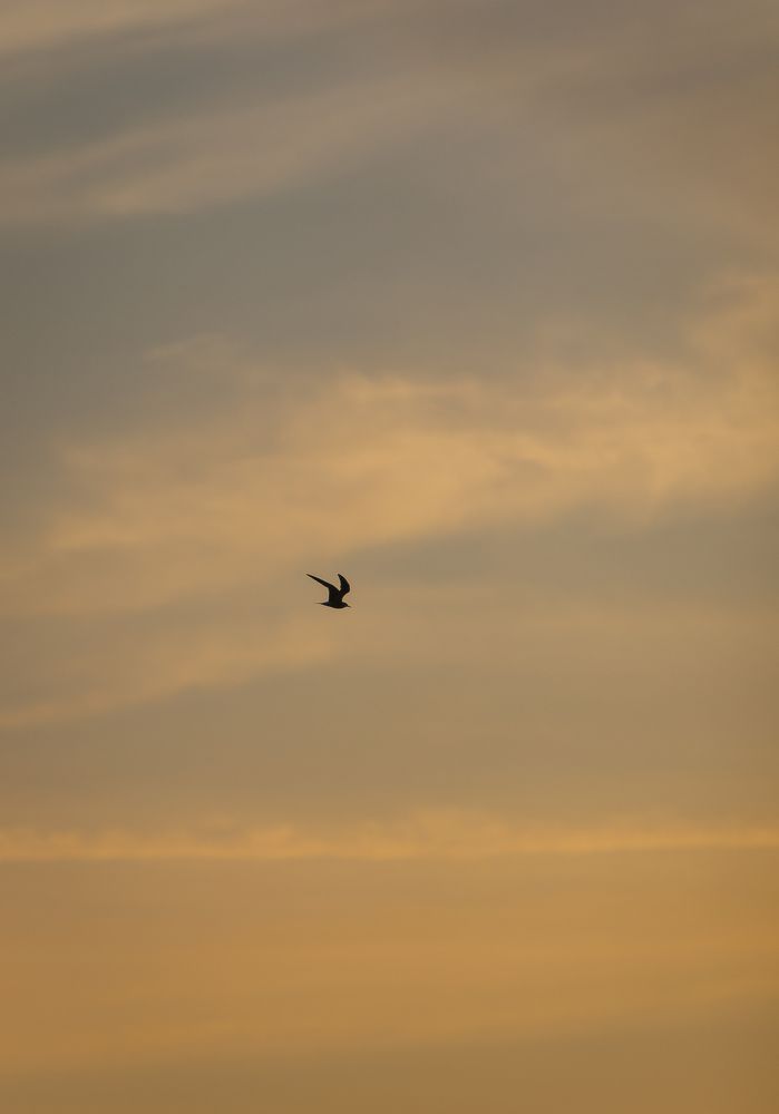 Photograph by Евгений Михеев