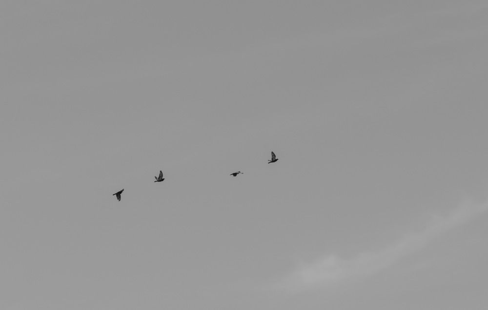 Photograph by Евгений Михеев