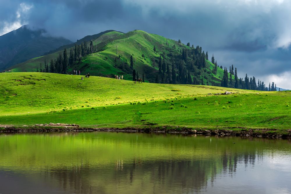 Sri Paye Meadows