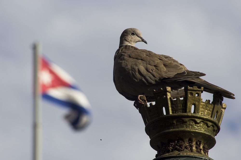 Photograph by Jorge Cristóbal Fernández-Trevejo Portuondo