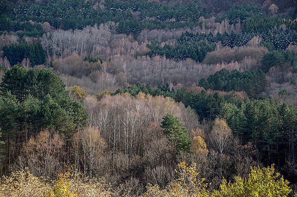 Photograph by 