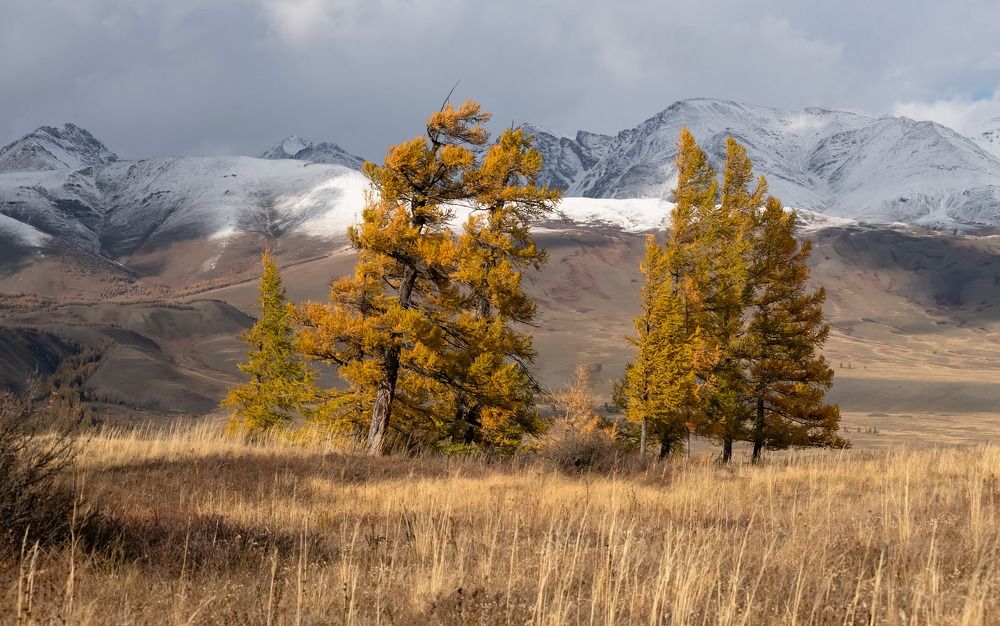 Photograph by Марина Фомина