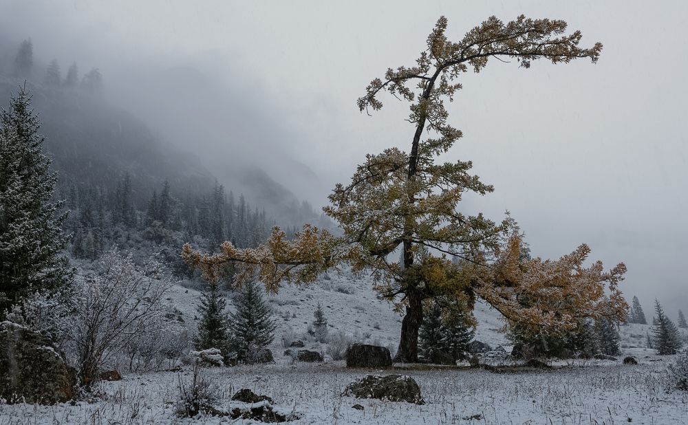 Photograph by Марина Фомина