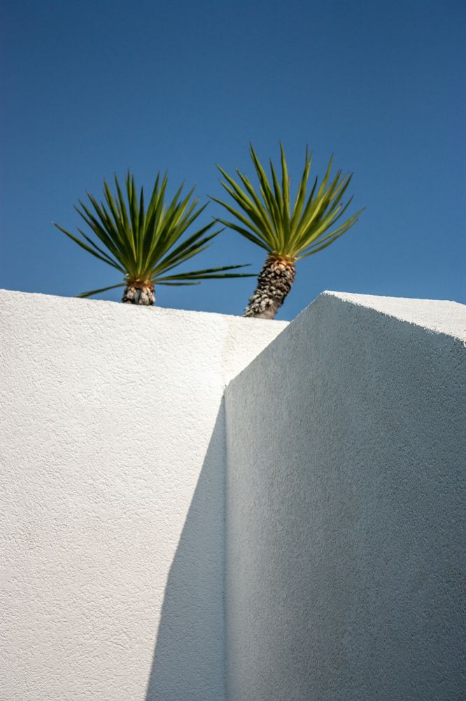 Photograph by Владимир Бузов