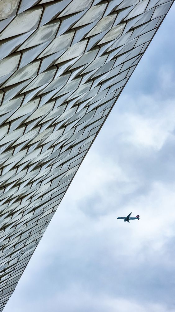 Photograph by Ana Grozea