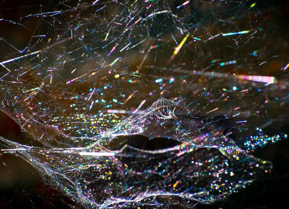 Photograph by Souradeep Chakraborty