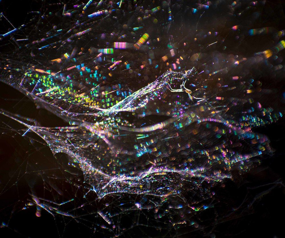 Photograph by Souradeep Chakraborty