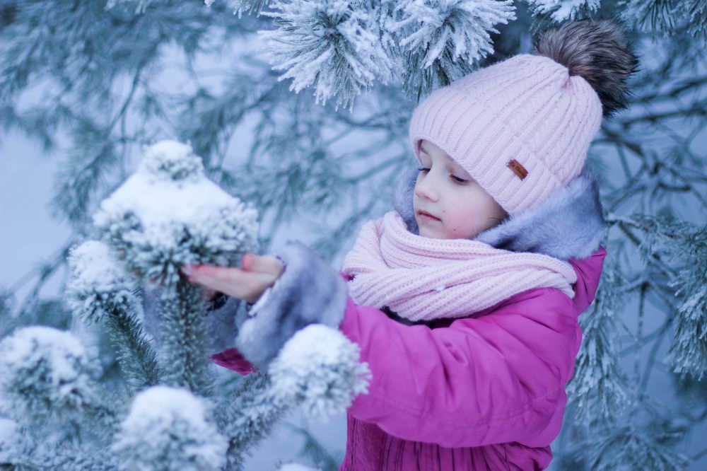 Фотография автора Алла Макаревич