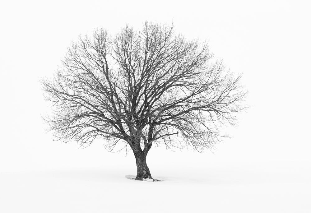 Photograph by Татьяна Бирюкова