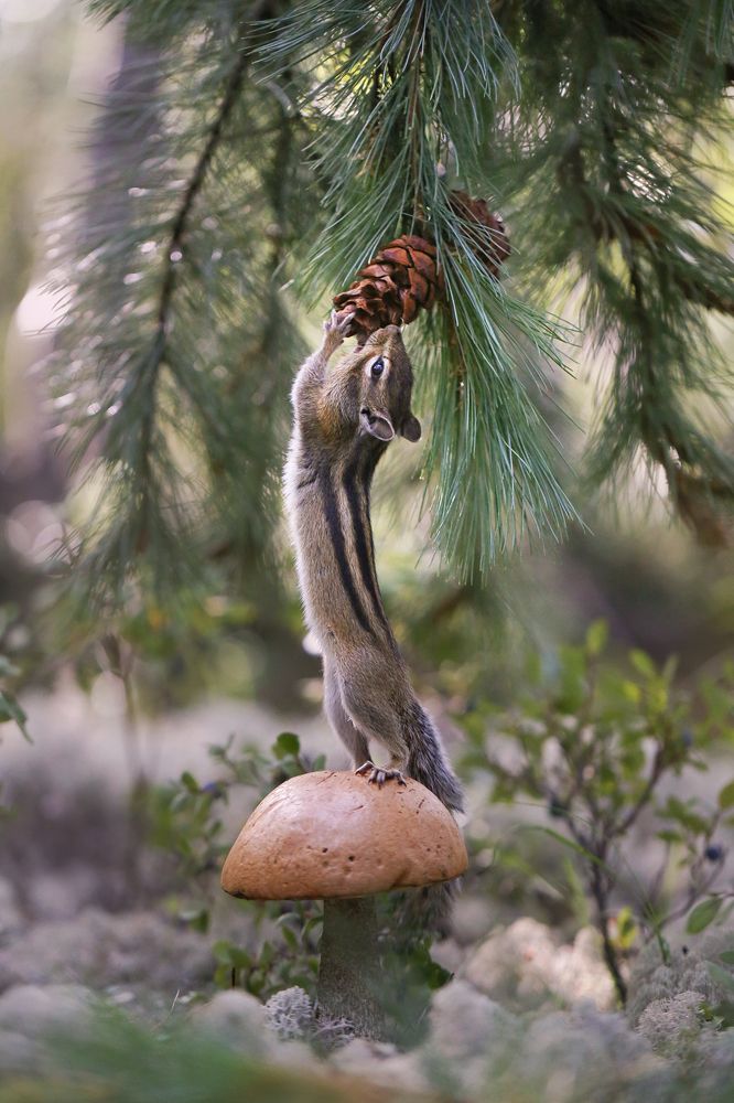 Photograph by Евгения Левина