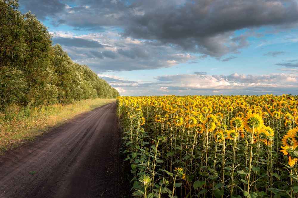 Photograph by Евгений Бичёв