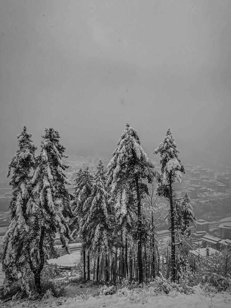 Photograph by Kinzang Tobgay