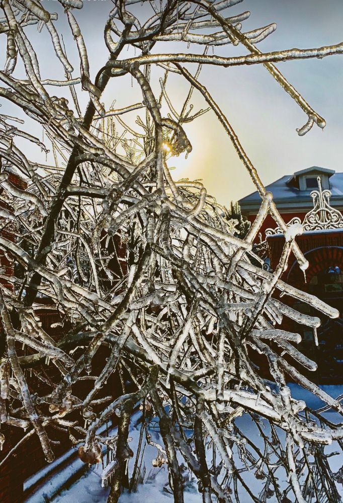 Photograph by SergioSteel