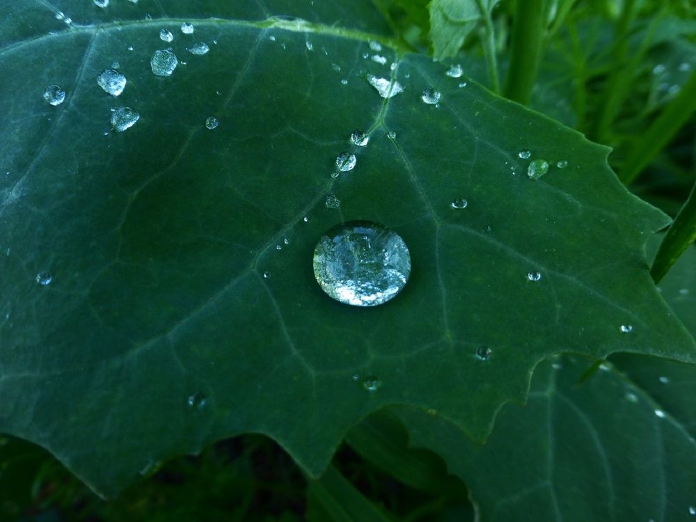 Photograph by Денис Веску